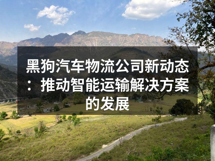智能运输解决方案提升效率