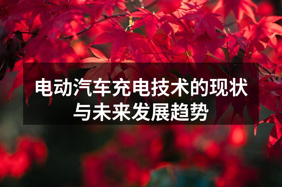电动汽车充电桩示意图
