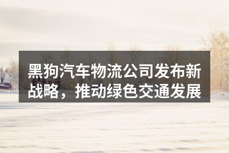 黑狗汽车物流新战略发布会现场