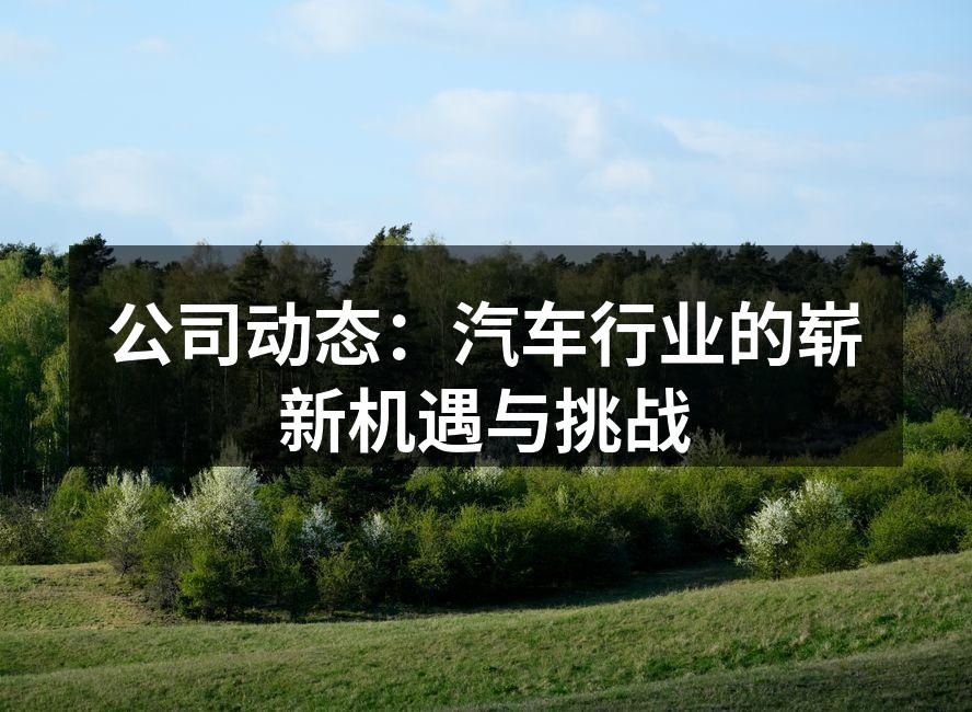 电动汽车展会现场